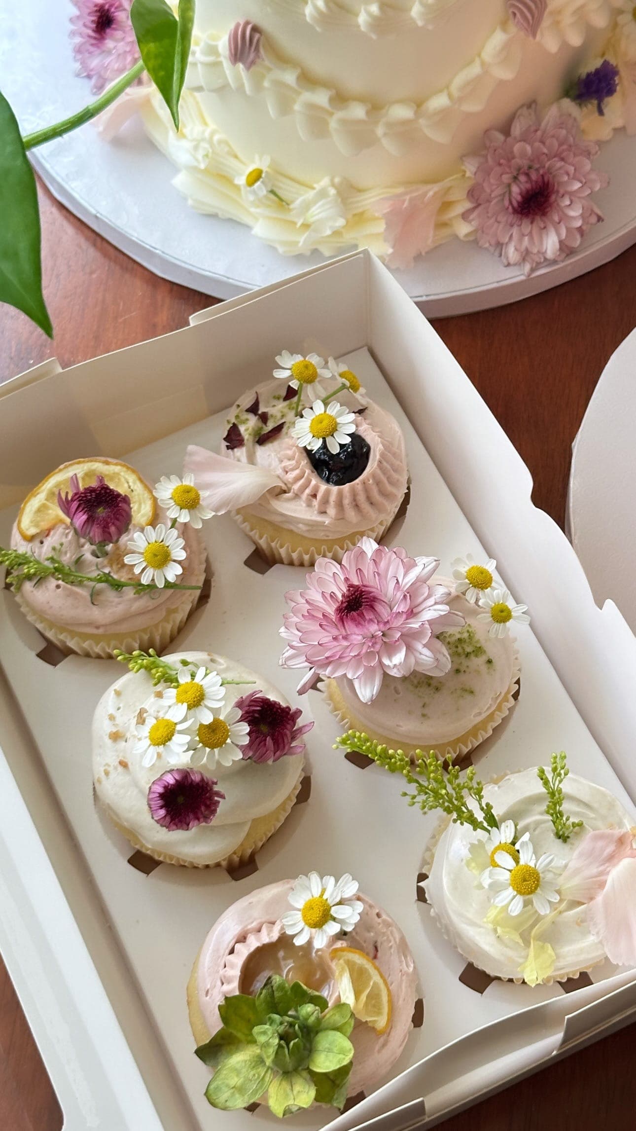 Custom Cake and Treats